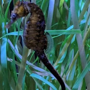 Meet your Posher, Jen